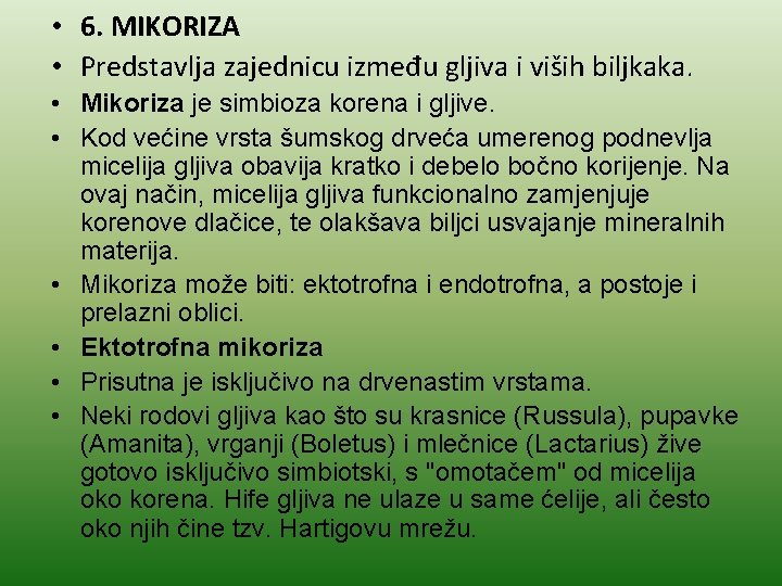  • 6. MIKORIZA • Predstavlja zajednicu između gljiva i viših biljkaka. • Mikoriza