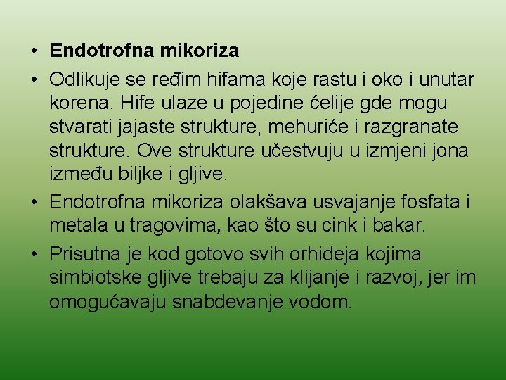  • Endotrofna mikoriza • Odlikuje se ređim hifama koje rastu i oko i