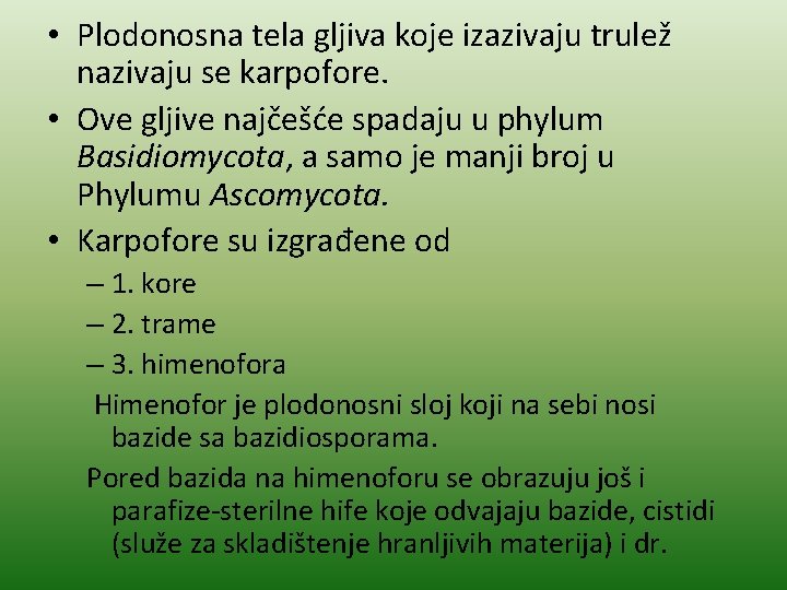  • Plodonosna tela gljiva koje izazivaju trulež nazivaju se karpofore. • Ove gljive