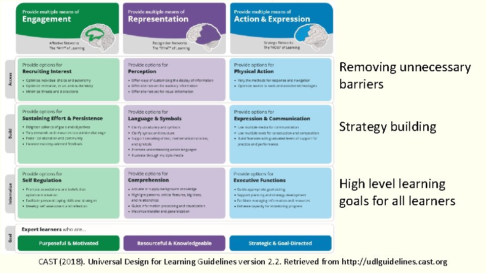 Removing unnecessary barriers Strategy building High level learning goals for all learners CAST (2018).