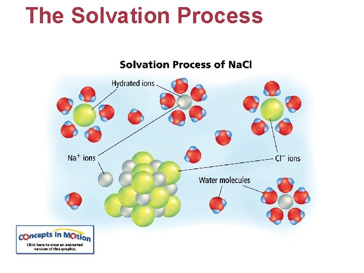 The Solvation Process 