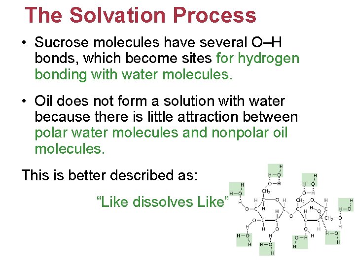 The Solvation Process • Sucrose molecules have several O–H bonds, which become sites for