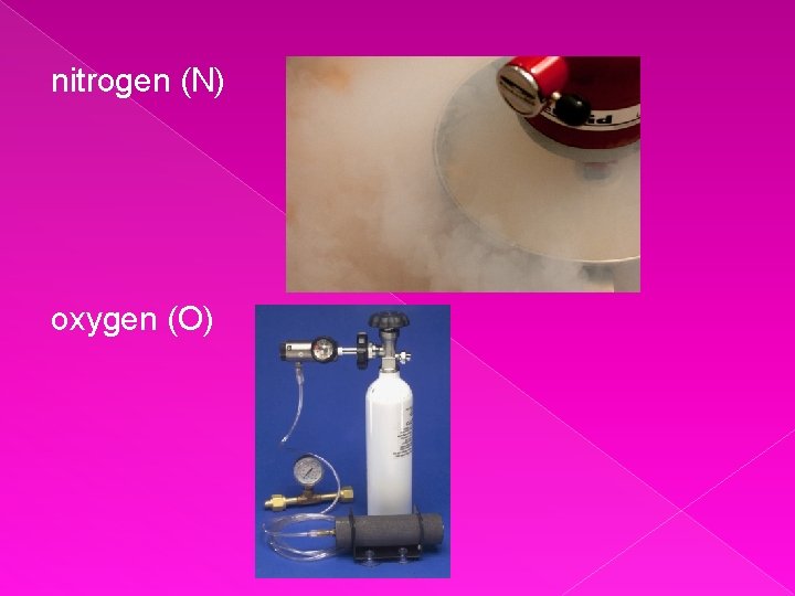 nitrogen (N) oxygen (O) 