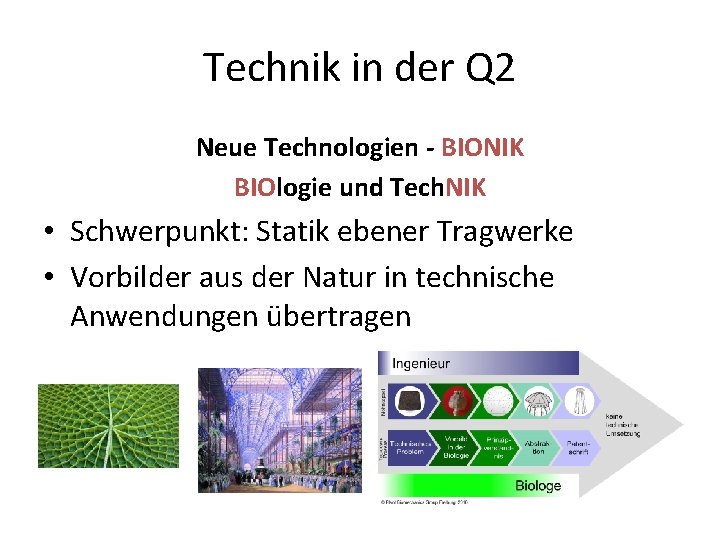 Technik in der Q 2 Neue Technologien - BIONIK BIOlogie und Tech. NIK •