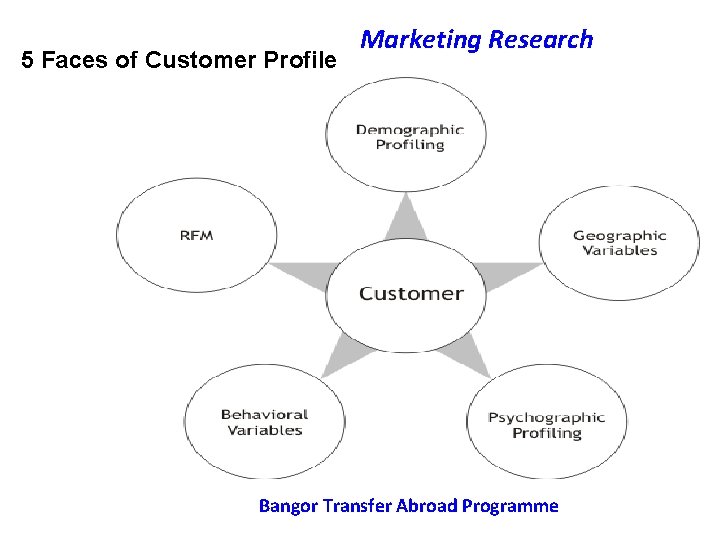 5 Faces of Customer Profile Marketing Research Bangor Transfer Abroad Programme 