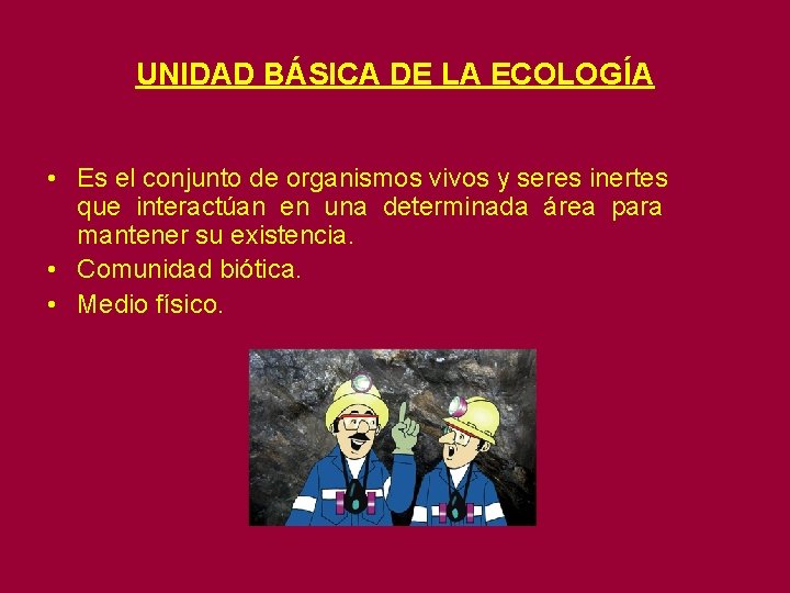 UNIDAD BÁSICA DE LA ECOLOGÍA • Es el conjunto de organismos vivos y seres