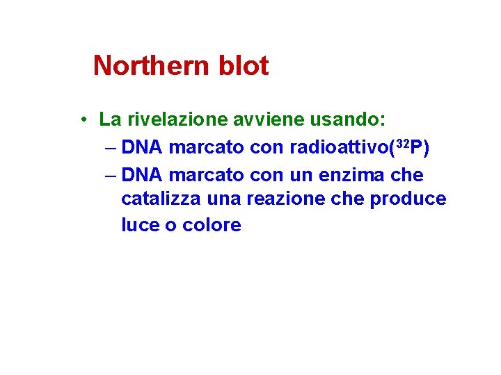 Northern blot • La rivelazione avviene usando: – DNA marcato con radioattivo(32 P) –