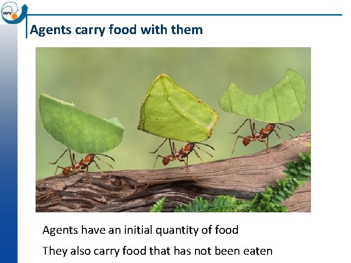 Agents carry food with them Agents have an initial quantity of food They also