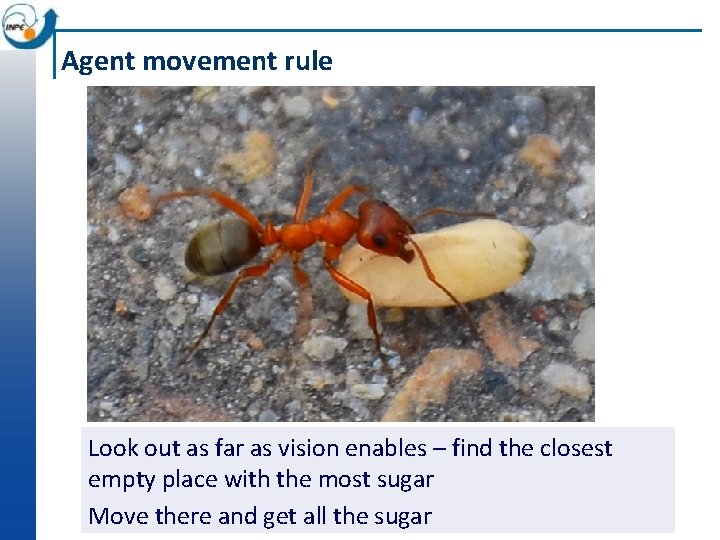 Agent movement rule Look out as far as vision enables – find the closest