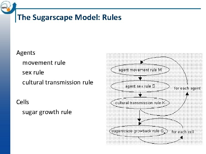 The Sugarscape Model: Rules Agents movement rule sex rule cultural transmission rule Cells sugar