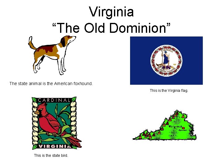 Virginia “The Old Dominion” The state animal is the American foxhound. This is the