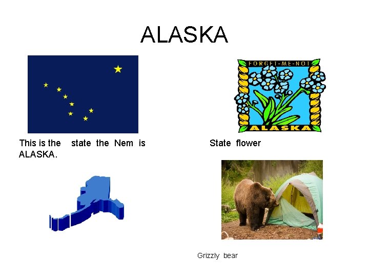 ALASKA This is the ALASKA. state the Nem is State flower Grizzly bear 
