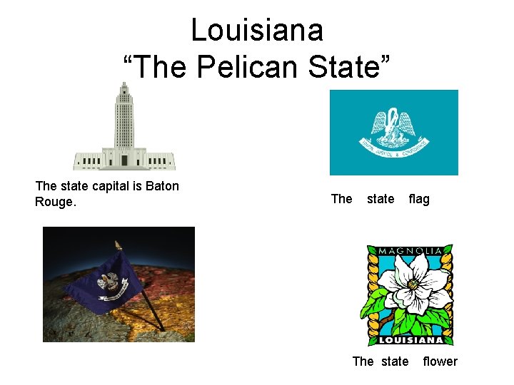 Louisiana “The Pelican State” The state capital is Baton Rouge. The state flag The