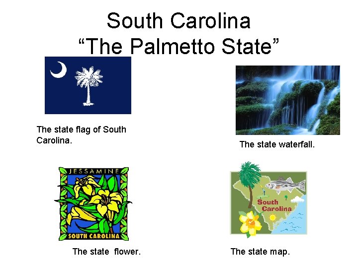 South Carolina “The Palmetto State” The state flag of South Carolina. The state flower.