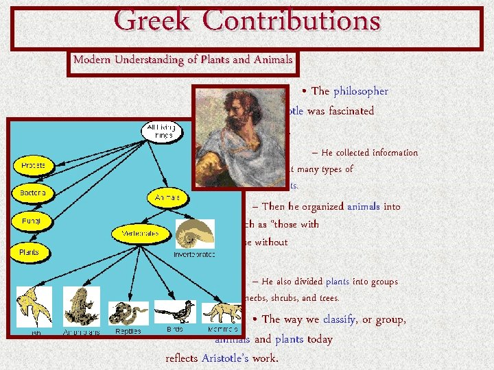 Greek Contributions Modern Understanding of Plants and Animals • The philosopher Aristotle was fascinated Greek Contributions Modern Understanding of Plants and Animals • The philosopher Aristotle was fascinated