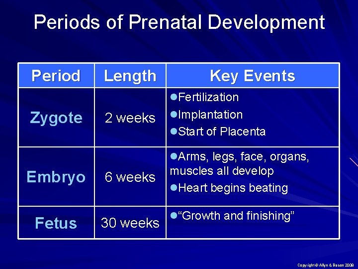 Periods of Prenatal Development Period Length Key Events l. Fertilization Zygote 2 weeks l.