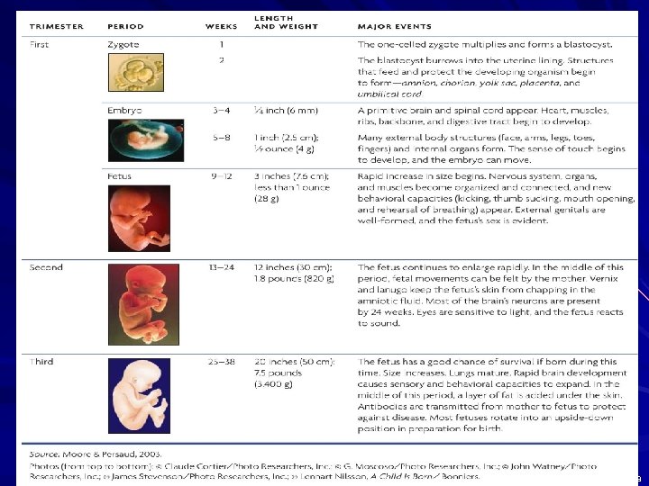Copyright © Allyn & Bacon 2008 