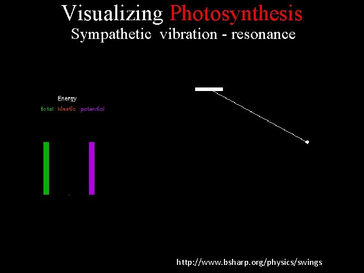 Visualizing Photosynthesis Sympathetic vibration - resonance http: //www. bsharp. org/physics/swings 