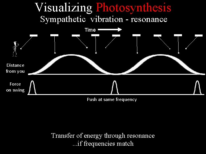 Visualizing Photosynthesis Sympathetic vibration - resonance Time Distance from you Force on swing Push