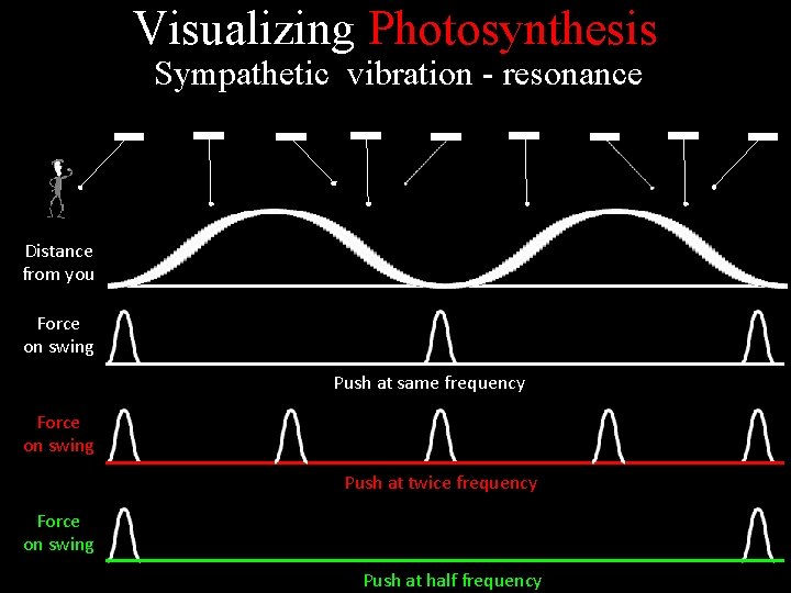 Visualizing Photosynthesis Sympathetic vibration - resonance Distance from you Force on swing Push at