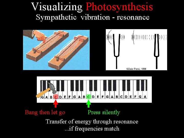 Visualizing Photosynthesis Sympathetic vibration - resonance Press silently Bang then let go Transfer of