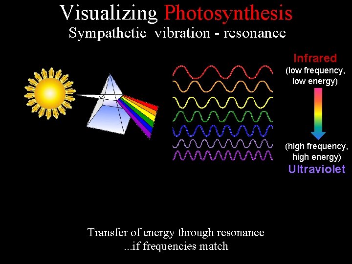 Visualizing Photosynthesis Sympathetic vibration - resonance Infrared (low frequency, low energy) (high frequency, high