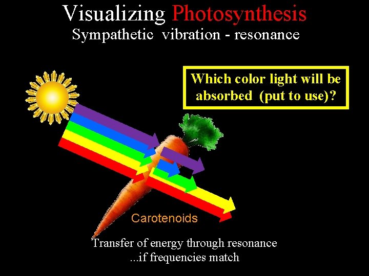 Visualizing Photosynthesis Sympathetic vibration - resonance Which color light will be absorbed (put to