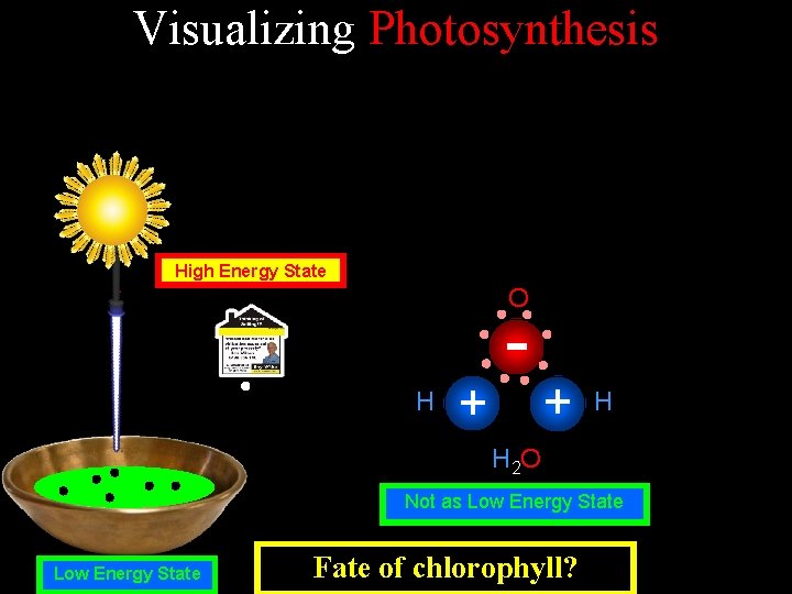 Visualizing Photosynthesis High Energy State O H + - + H H 2 O