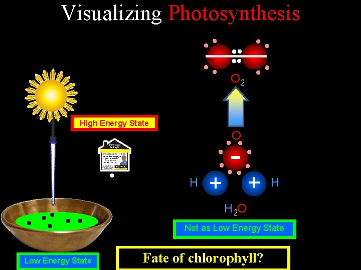 Visualizing Photosynthesis O 2 High Energy State O H + - + H H