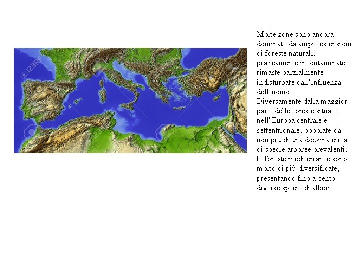 Molte zone sono ancora dominate da ampie estensioni di foreste naturali, praticamente incontaminate e