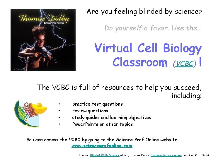 Are you feeling blinded by science? Do yourself a favor. Use the… Virtual Cell