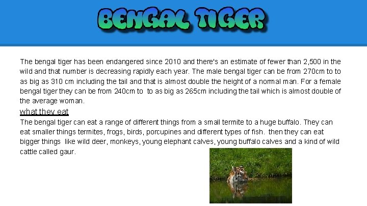 The bengal tiger has been endangered since 2010 and there's an estimate of fewer