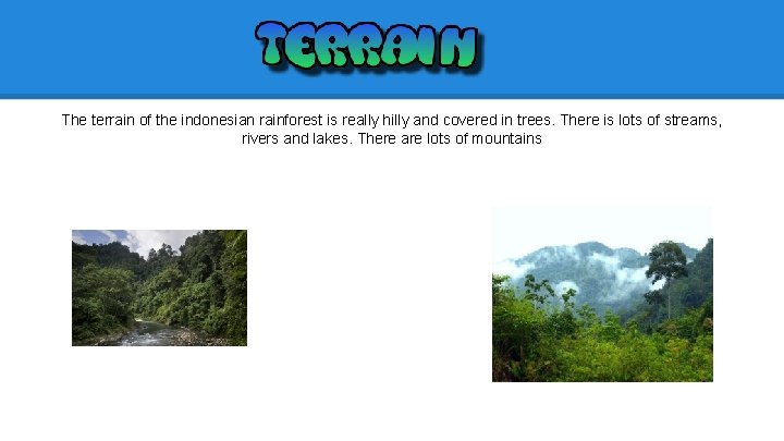 The terrain of the indonesian rainforest is really hilly and covered in trees. There