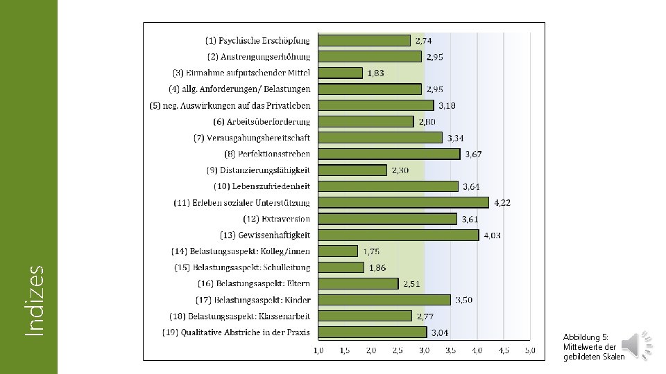 Indizes Abbildung 5: Mittelwerte der gebildeten Skalen 