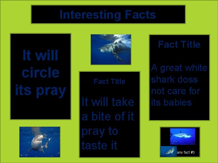 Interesting Facts It will circle its pray A pic to accompany fact #1 Fact