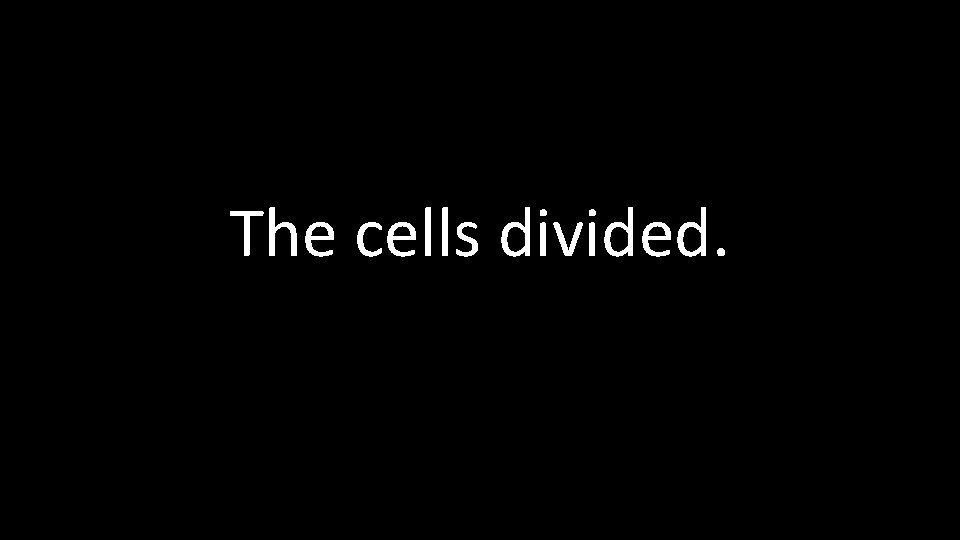The cells divided. 