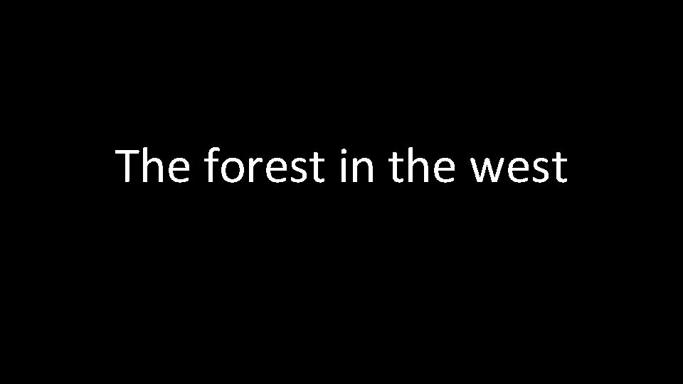 The forest in the west 