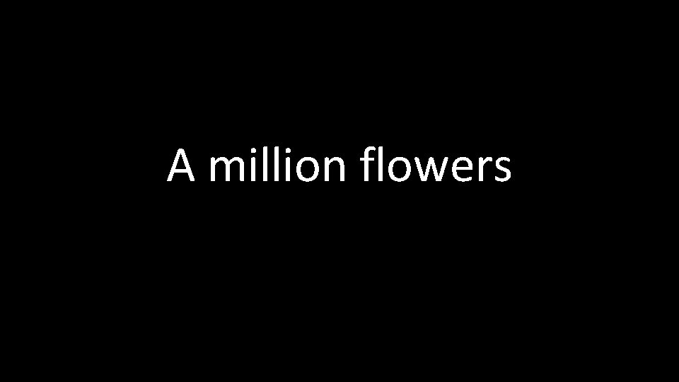 A million flowers 