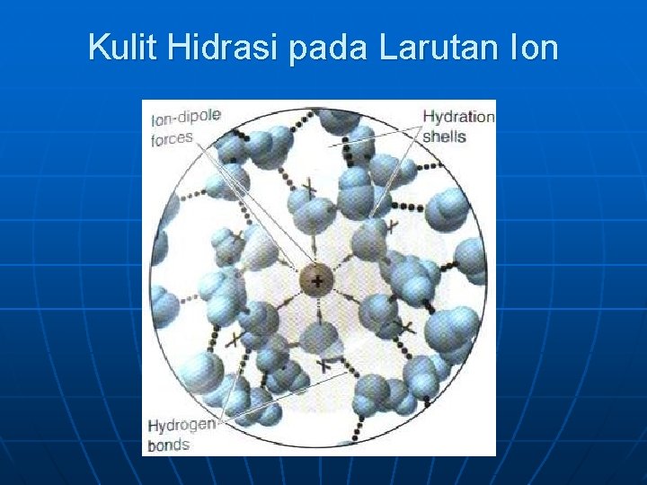 Kulit Hidrasi pada Larutan Ion 