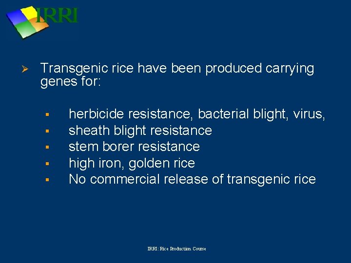 Ø Transgenic rice have been produced carrying genes for: § § § herbicide resistance,