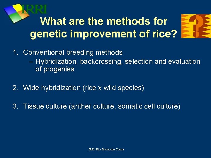 What are the methods for genetic improvement of rice? 1. Conventional breeding methods –