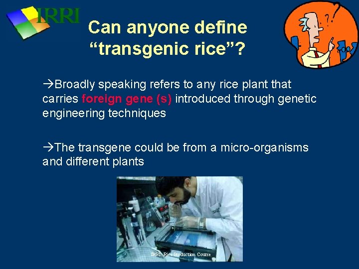 Can anyone define “transgenic rice”? Broadly speaking refers to any rice plant that carries