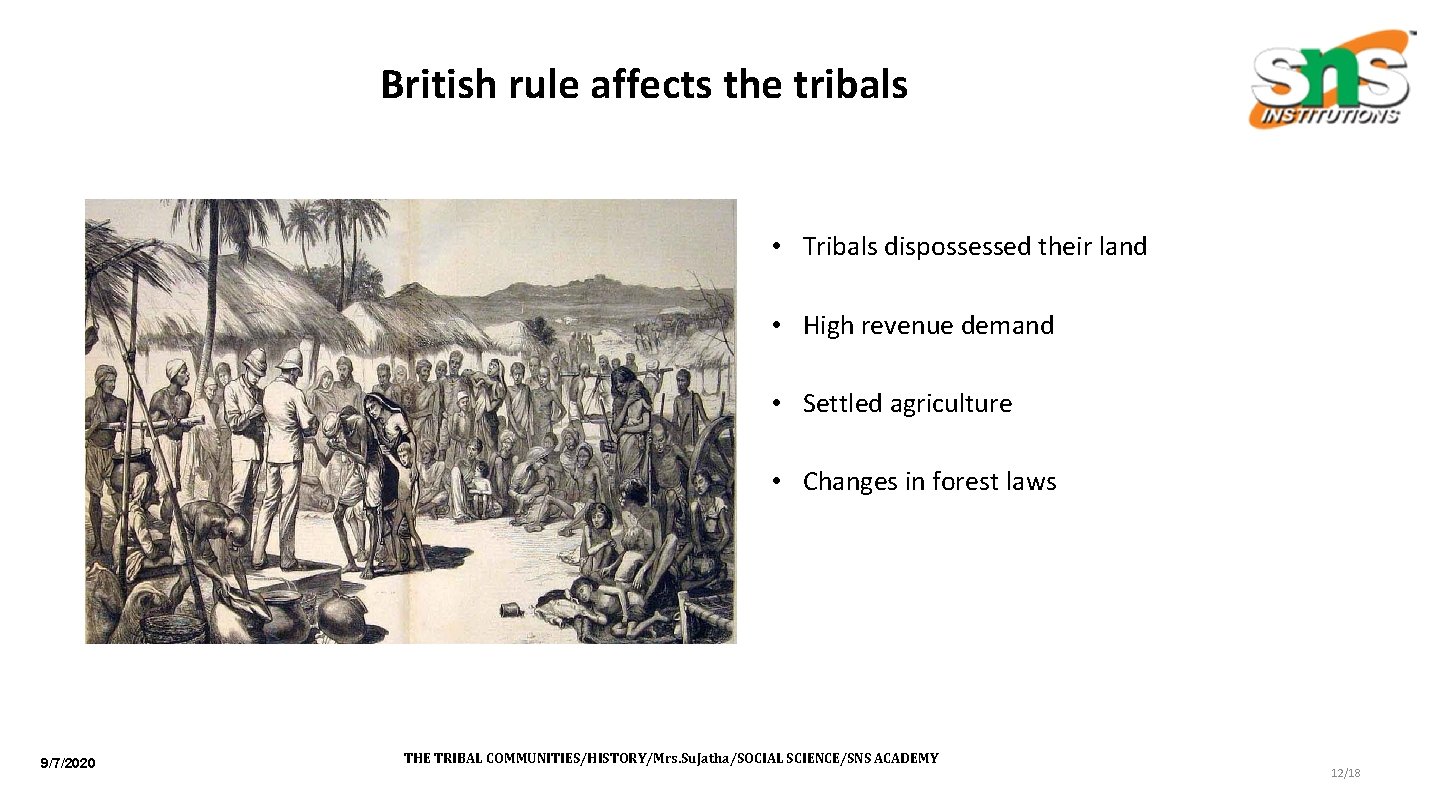 British rule affects the tribals • Tribals dispossessed their land • High revenue demand