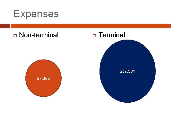 Expenses Non-terminal Terminal $37, 581 $7, 365 