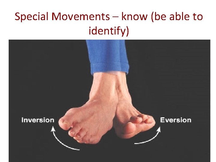 Special Movements – know (be able to identify) 