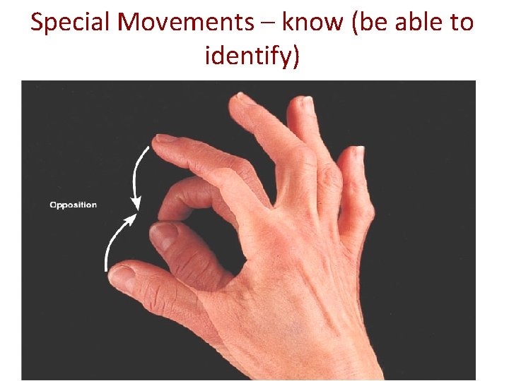 Special Movements – know (be able to identify) 
