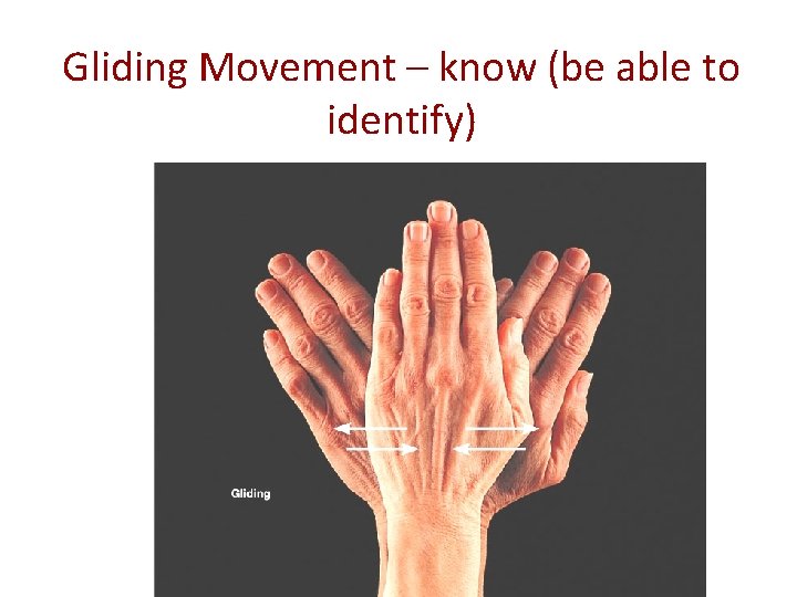 Gliding Movement – know (be able to identify) 