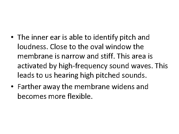  • The inner ear is able to identify pitch and loudness. Close to