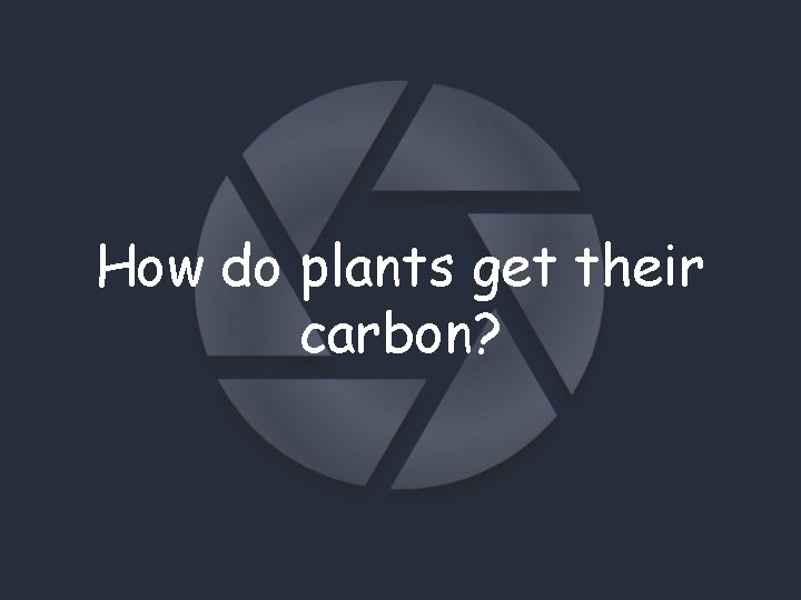 How do plants get their carbon? 