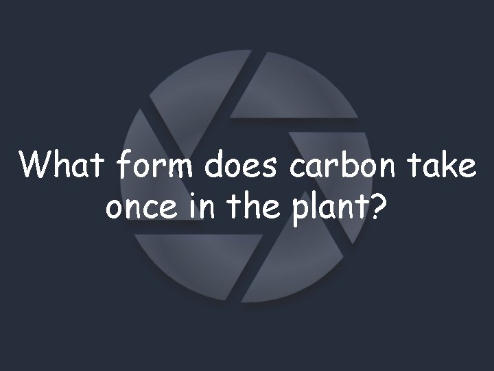 What form does carbon take once in the plant? 
